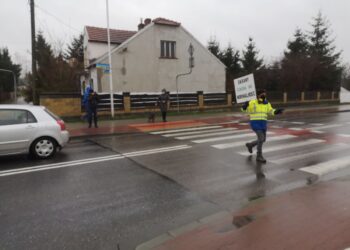 Tarnobrzeg. Chcą budowy ekranów akustycznych przy obwodnicy. Protestowali na przejściu dla pieszych