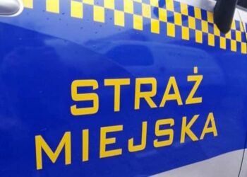 Tarnobrzeg. Parkuj z głową