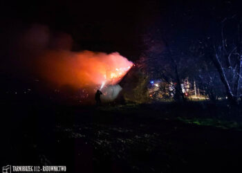 Tarnobrzeg. Nocny pożar altany