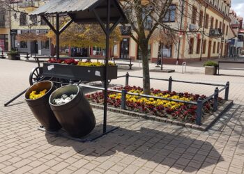 Tarnobrzeg. Wiosenne nasadzenia.