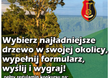 Stalowa Wola: Wystartował konkurs na Drzewo roku 2021