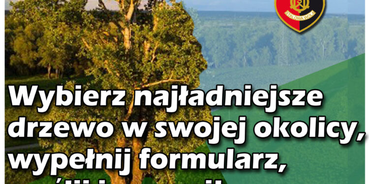 Stalowa Wola: Wystartował konkurs na Drzewo roku 2021