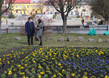 Ostrowiec Św.: Wiosenne porządki