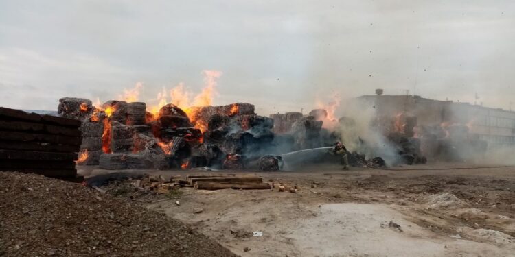 Baranów Sandomierski. Pożar składowiska makulatury na stacji LHS w Knapach
