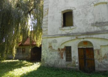 Stalowa Wola: W tym roku modernizacja alejek spacerowych w charzewickim parku.