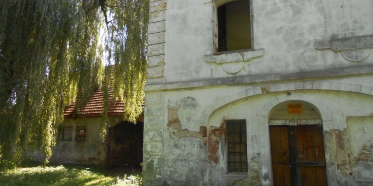 Stalowa Wola: W tym roku modernizacja alejek spacerowych w charzewickim parku.