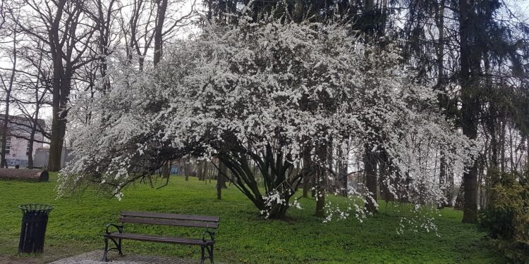 Tarnobrzeg. Światowy Dzień Ziemi – akcent Natury 2000.
