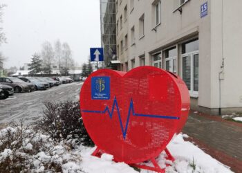 Stalowa Wola: Powiat stalowowolski nakręcony na pomaganie