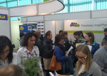 Mielec: Targi pracy online?