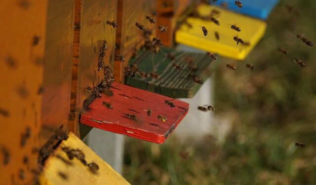 Mielec: Ktokolwiek widział, ktokolwiek wie…