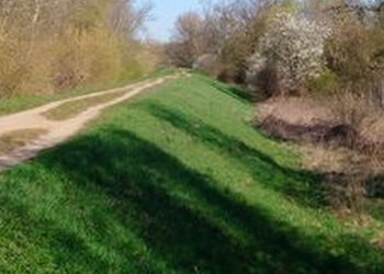 Gmina Zaleszany: Będzie kontynuacja budowy obwałowań na Osie.