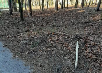 Mielec/ Dębica: Wandalizm nie zna granic….