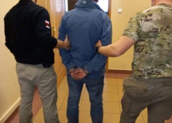 Ostrowiec Św.: Zatrzymany za kradzieże