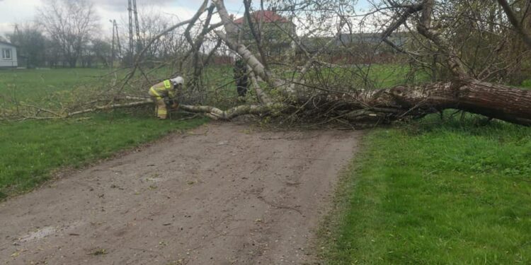 Tarnobrzeg, powiat tarnobrzeski. Interwencje po wichurze
