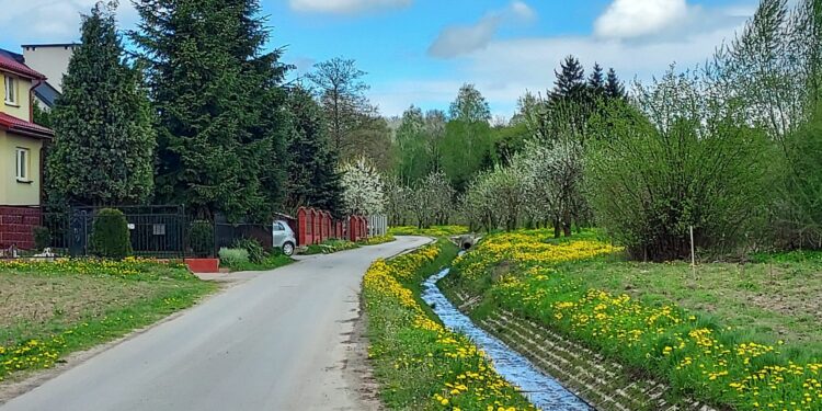 Sandomierz: Mieszkańcy ulicy Partyzantów po 20 latach starań będą mieć uliczne latarnie.