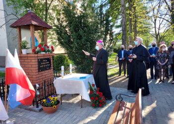 Sandomierz: Uzdrowienie Chorych, módl za nami…