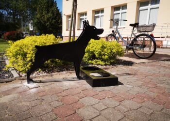 Tarnobrzeg. Ulga dla zwierząt w upały