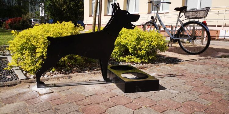 Tarnobrzeg. Ulga dla zwierząt w upały