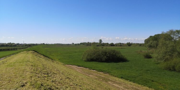 Gorzyce. Obwałowania Łęgu zostaną wzmocnione i podwyższone