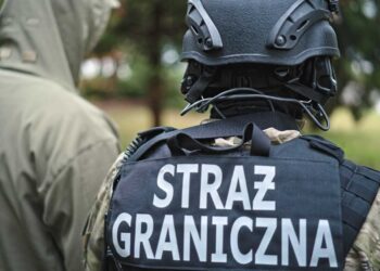Region: Dublerzy na języku polskim