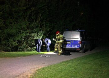 Tarnobrzeg. Policyjny pościg. Strzały ostrzegawcze. Poszukiwania kierowcy.
