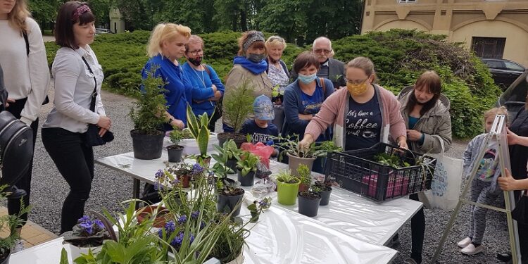 Tarnobrzeg. Wydarzenie okazało się strzałem w dziesiątkę. Udana Kwiatowymiana.