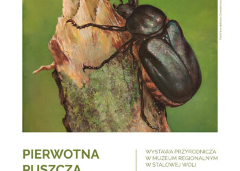 Stalowa Wola: Zajrzyj do pierwotnej Puszczy Sandomierskiej w muzeum