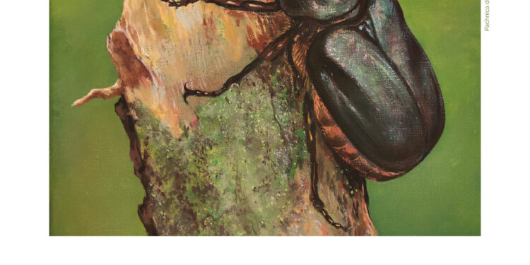 Stalowa Wola: Zajrzyj do pierwotnej Puszczy Sandomierskiej w muzeum