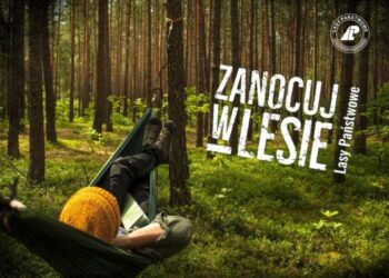 Mielec: Zanocuj w lesie.