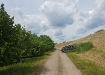 Baranów Sandomierski. Opony zamiast do utylizacji trafiły na pobocze