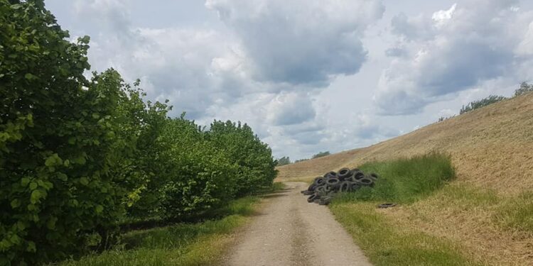 Baranów Sandomierski. Opony zamiast do utylizacji trafiły na pobocze