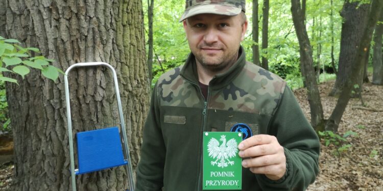 Nowa Dęba. 22 nowe pomniki przyrody