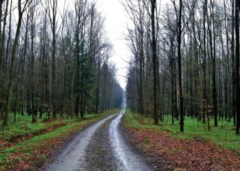 Mielec:   Budujmy ścieżki rowerowe !