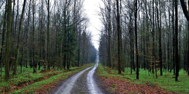Mielec:   Budujmy ścieżki rowerowe !