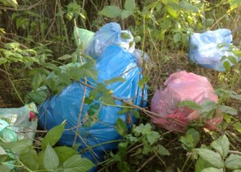 Tuszów Narodowy: Apel o zachowanie czystości na terenie Gminy Tuszów Narodowy