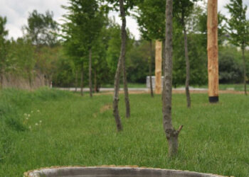 Stalowa Wola: W pobliżu galerii powstał wodopój dla dzikich zwierząt