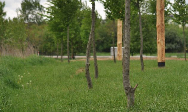 Stalowa Wola: W pobliżu galerii powstał wodopój dla dzikich zwierząt