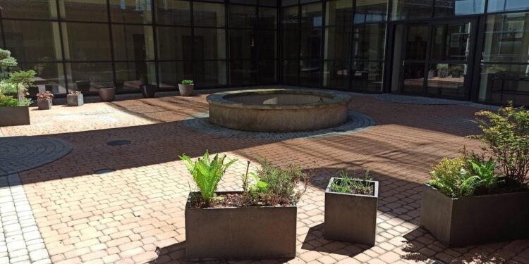 Stalowa Wola: Bibliotekarze na nowo urządzą patio