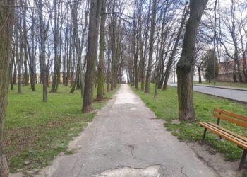 Sandomierz: Przedłużają się prace w parku.