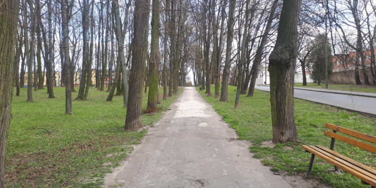 Sandomierz: Przedłużają się prace w parku.