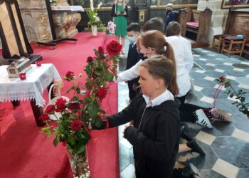 Sandomierz: Róże dla królowej Jadwigi.