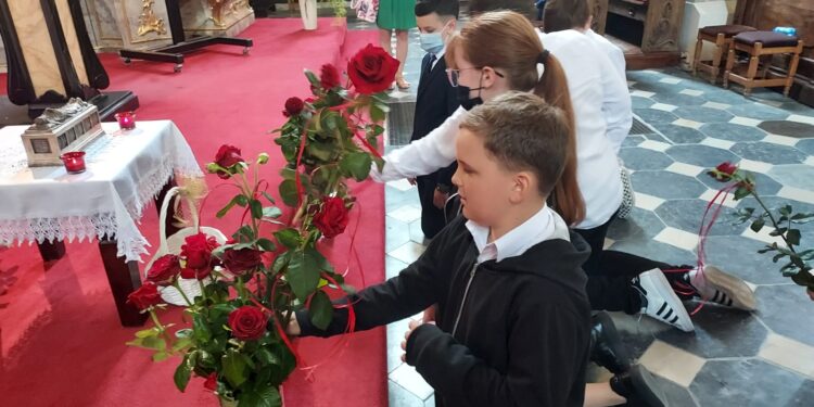 Sandomierz: Róże dla królowej Jadwigi.