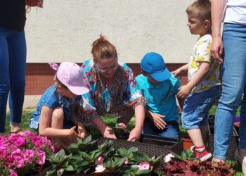 Łoniów: Wspólne sadzenie kwiatów przy Domach dla Dzieci i Młodzieży.