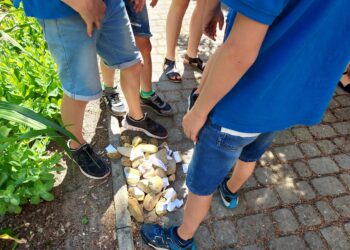 Sandomierz: Tajemniczy ogród królowej Jadwigi.