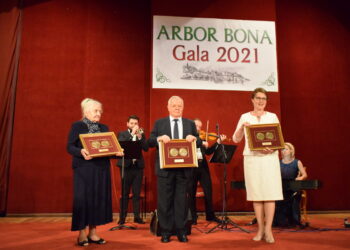 Sandomierz: Przyznano nagrodę „Arbor Bona” czyli Dobrego Drzewa.