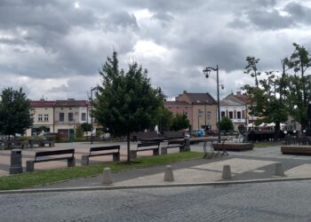 Mielec:  Mielecka Strefa Kibica.