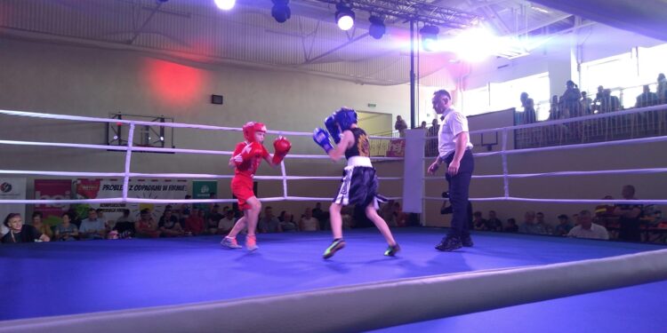 Mielec: Puchar Karpat w boksie olimpijskim.