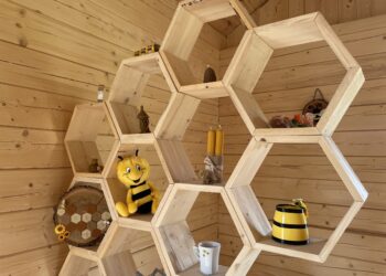 Zochcinek: Pszczoły pomagają mieszkańcom DPS.