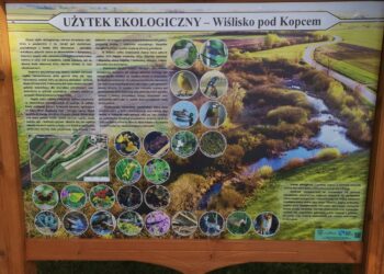 Baranów Sandomierski. Użytek ekologiczny w Dymitrowie Dużym