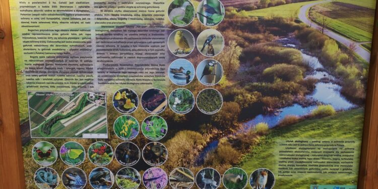 Baranów Sandomierski. Użytek ekologiczny w Dymitrowie Dużym